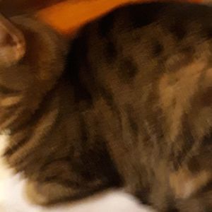 Meet your Posher, Dave